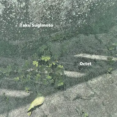 Octet