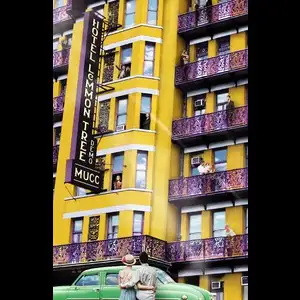 HOTEL LeMMON TREE DEMO