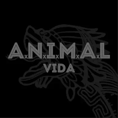 Vida