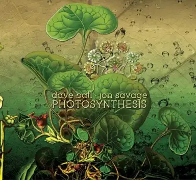 Photosynthesis