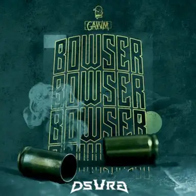 Bowser (DSVRG remix)