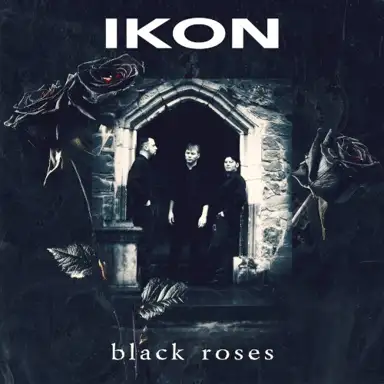 Black Roses (2024 single remix EP)