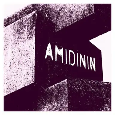 Amidinin