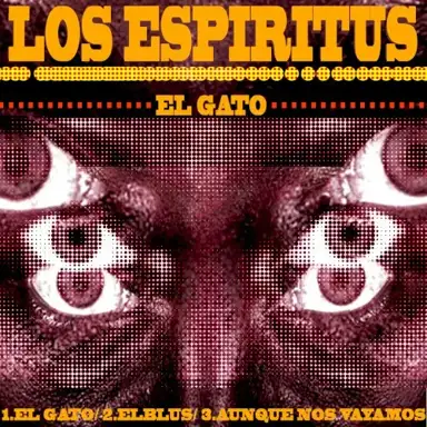 El gato