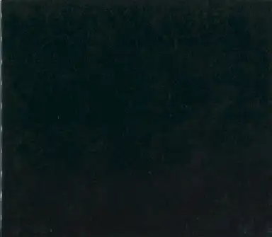 SILENCE/THE END
