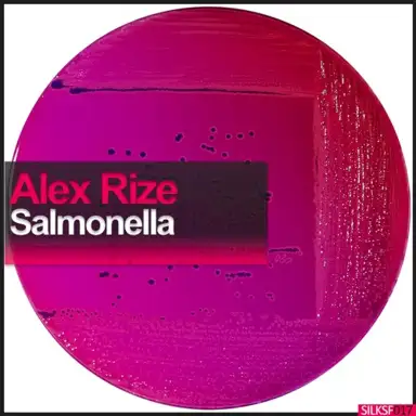 Salmonella