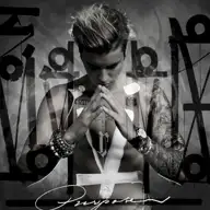 What Do You Mean?