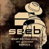 What Do You Love (Zonderling remix)