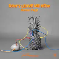 Don’t Leave Me Now (deluxe mix)