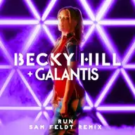 Run (Sam Feldt remix)