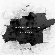 Without You (Otto Knows remix)