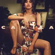 Never Be the Same